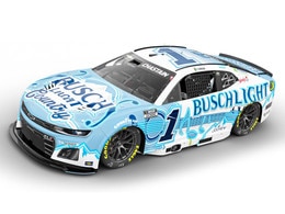 ROSS CHASTAIN 2025 BUSCH LIGHT COUNTRY 1:64 ARC DIECAST