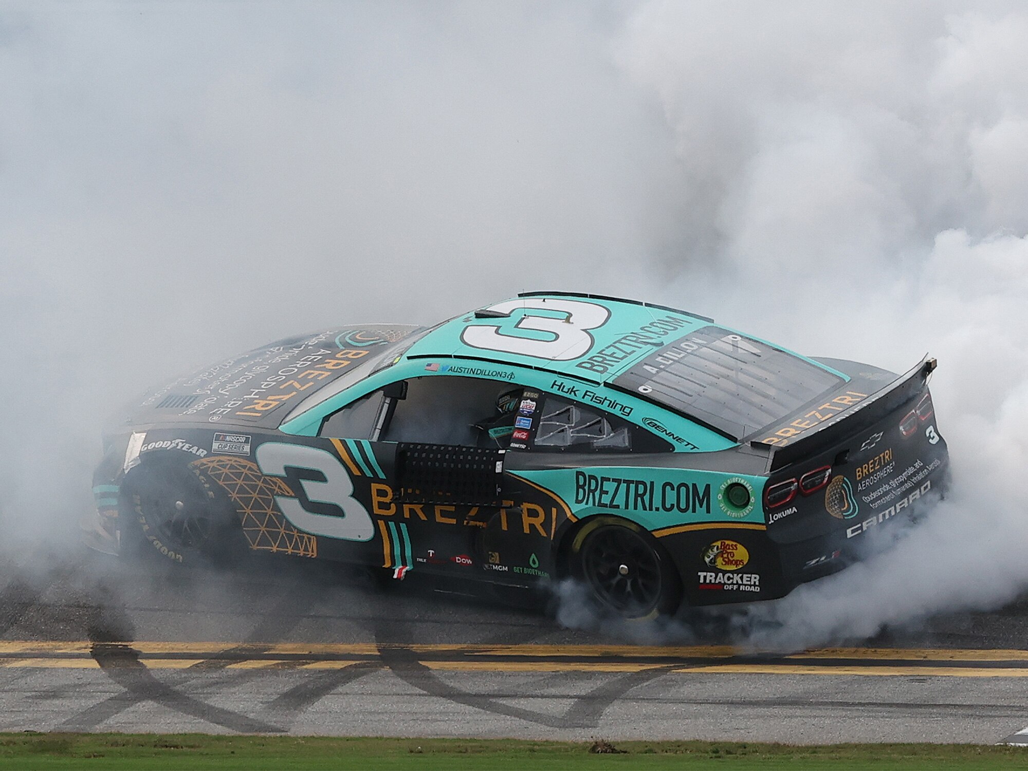 AUSTIN DILLON 2022 BREZTRI.COM DAYTONA RACED WIN 1:24 COLOR CHROME