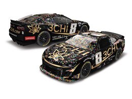 KYLE BUSCH 2023 3CHI.COM GATEWAY RACED WIN 1:24 FLASHCOAT COLOR ELITE